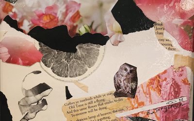 ANA Studio Class B – Evelyn Jorgenson