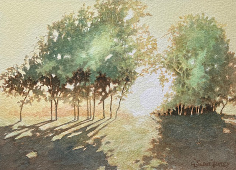 Trees, Trees and Watercolor Trees